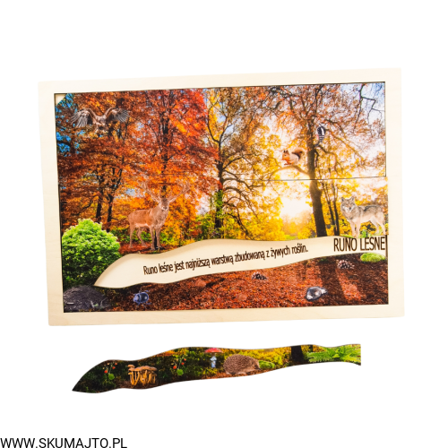 Projekt bez tytułu - 2022-09-12T135723.023.png