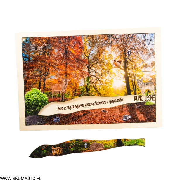 Projekt bez tytułu - 2022-09-12T135723.023.png