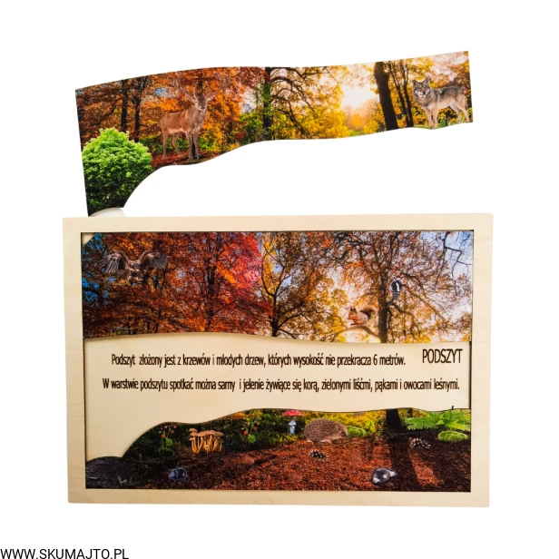 Projekt bez tytułu - 2022-09-12T135802.297.png