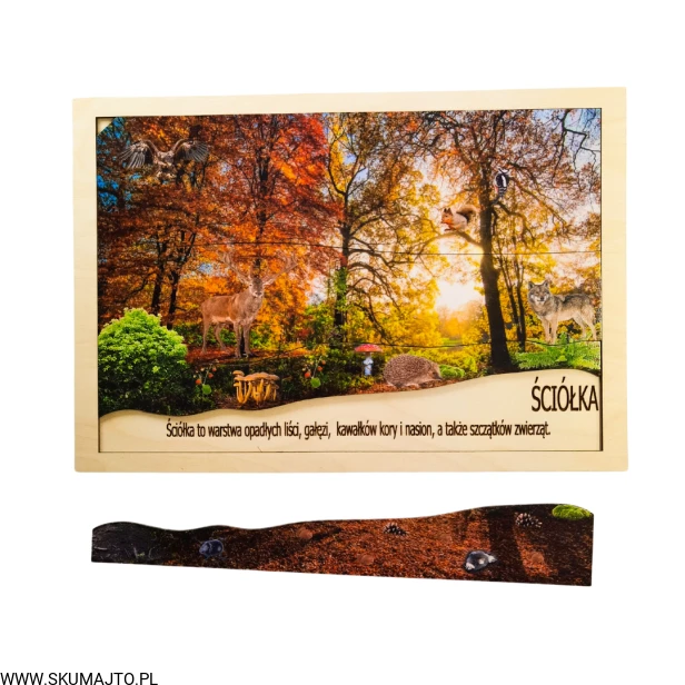 Projekt bez tytułu - 2022-09-12T135842.419.png