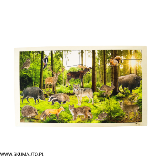 Projekt bez tytułu - 2022-09-12T133351.642.png