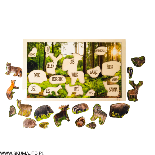 Projekt bez tytułu - 2022-09-12T133917.988.png