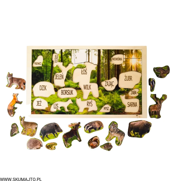 Projekt bez tytułu - 2022-09-12T133917.988.png