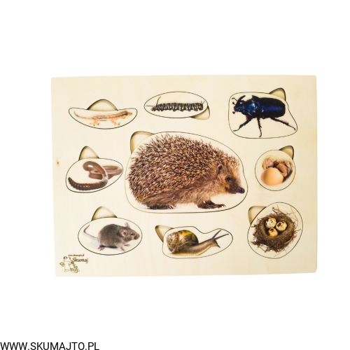 Projekt bez tytułu - 2022-09-12T133432.658.png