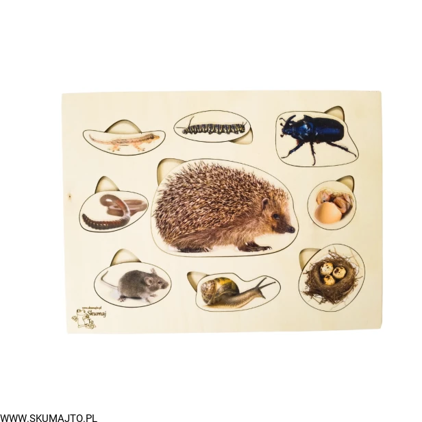 Projekt bez tytułu - 2022-09-12T133432.658.png