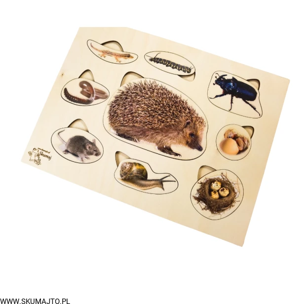 Projekt bez tytułu - 2022-09-12T133517.741.png