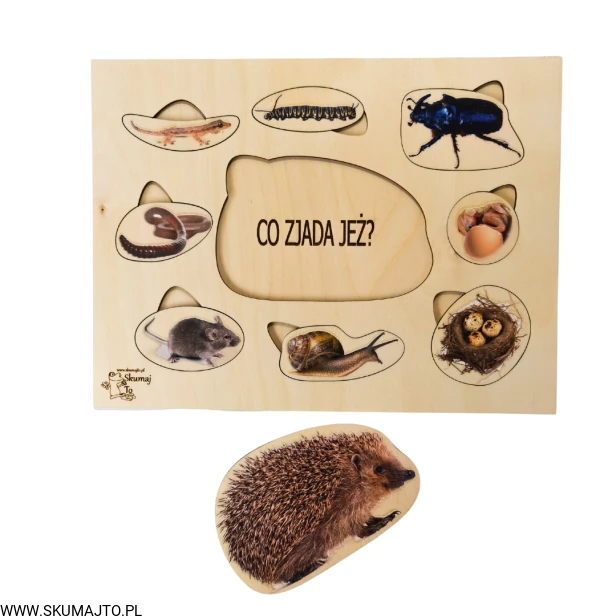 Projekt bez tytułu - 2022-09-12T133752.834.png