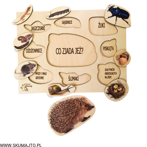 Projekt bez tytułu - 2022-09-12T133835.848.png