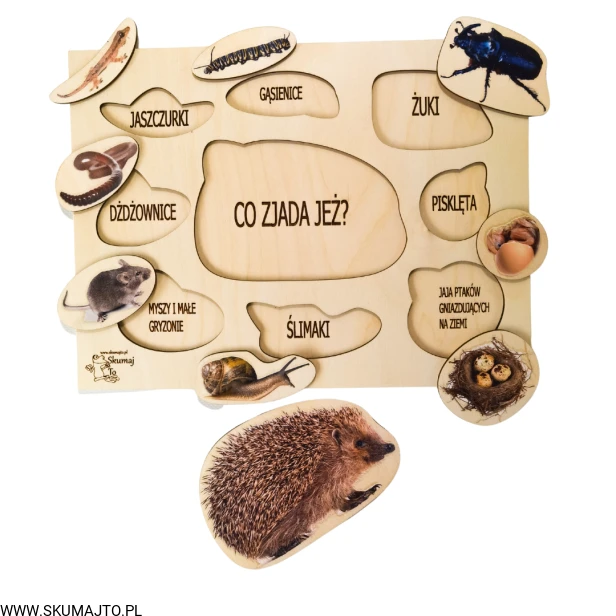 Projekt bez tytułu - 2022-09-12T133835.848.png