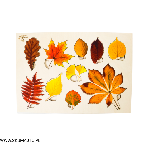 Projekt bez tytułu - 2022-09-12T133606.431.png