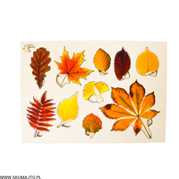 Projekt bez tytułu - 2022-09-12T133606.431.png