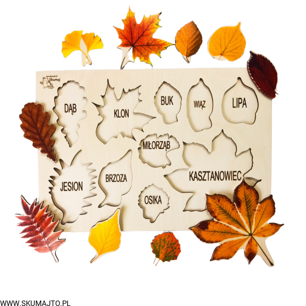 Projekt bez tytułu - 2022-09-12T133656.676.png