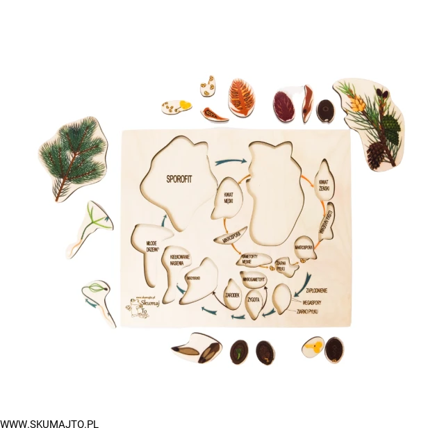 Projekt bez tytułu - 2022-09-12T132305.817.png