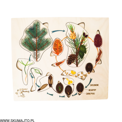 Projekt bez tytułu - 2022-09-12T132356.605.png