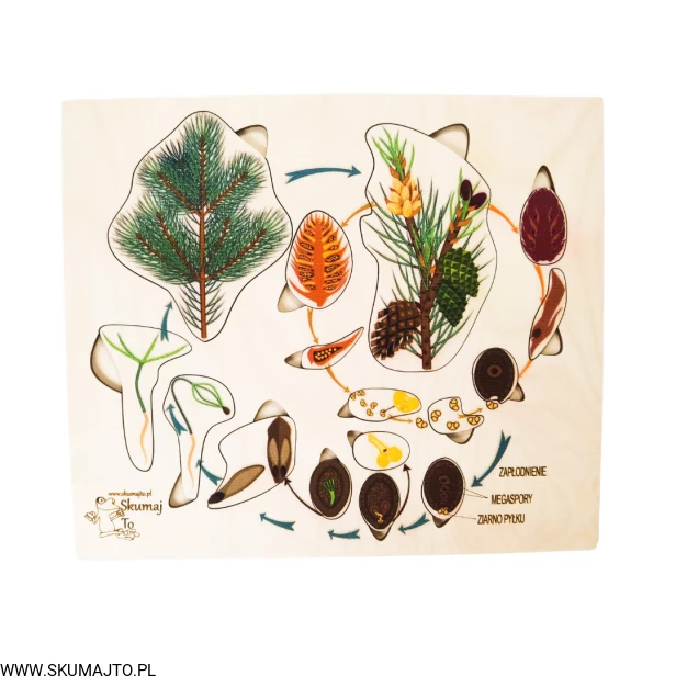 Projekt bez tytułu - 2022-09-12T132405.132.png