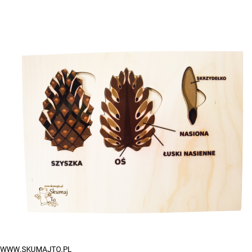 Projekt bez tytułu - 2022-09-12T132218.920.png