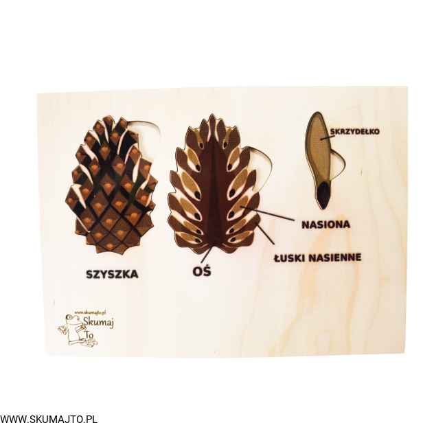 Projekt bez tytułu - 2022-09-12T132218.920.png