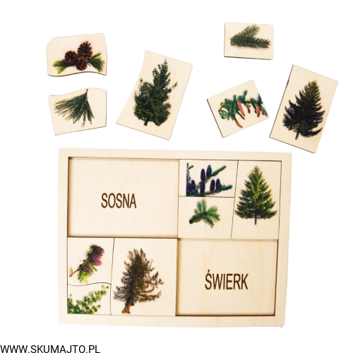 Projekt bez tytułu - 2022-09-12T132059.819.png