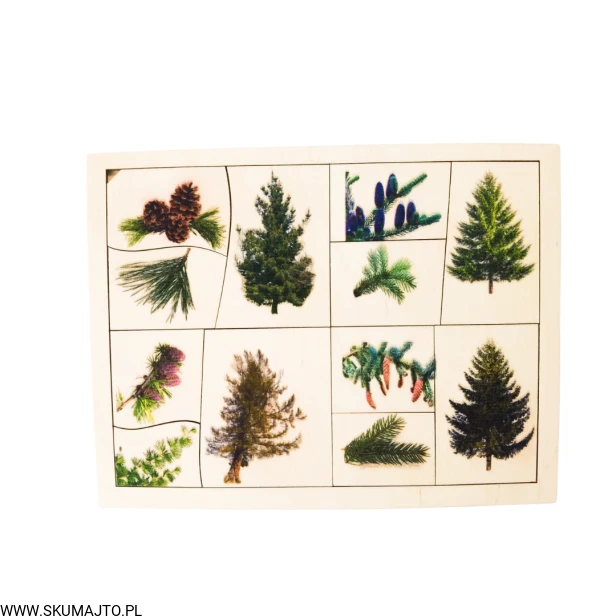 Projekt bez tytułu - 2022-09-12T132136.640.png