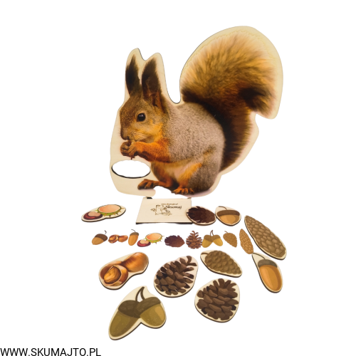 Projekt bez tytułu - 2022-09-12T130220.358.png