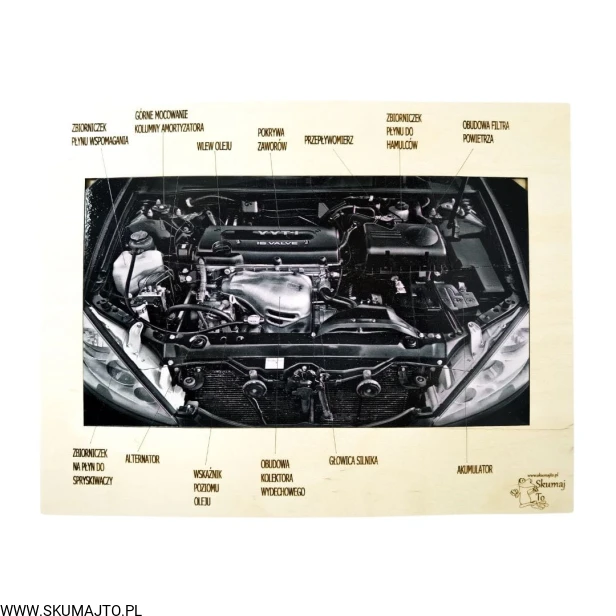 Projekt bez tytułu - 2022-10-14T180959.619.jpg