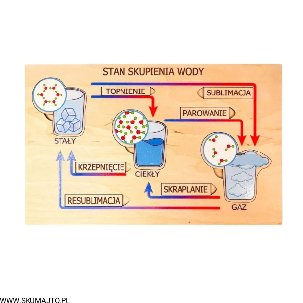 Projekt bez tytułu - 2022-11-05T171341.252.jpg