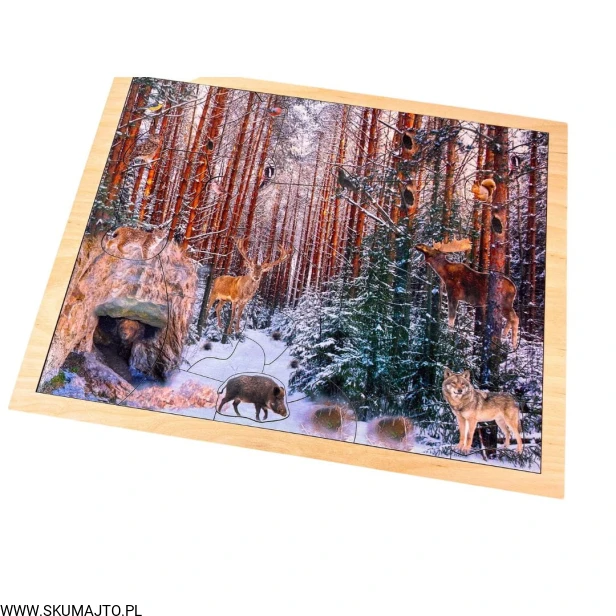 Projekt bez tytułu - 2022-11-05T171409.804.jpg