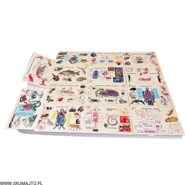 Projekt bez tytułu - 2023-01-12T210633.898.jpg