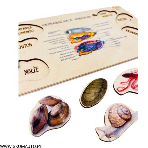 Projekt bez tytułu - 2023-01-12T210751.167.jpg