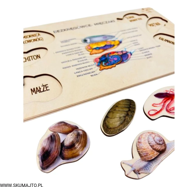 Projekt bez tytułu - 2023-01-12T210751.167.jpg