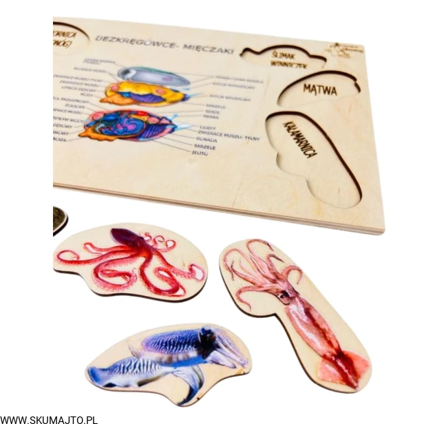 Projekt bez tytułu - 2023-01-12T210824.378.jpg