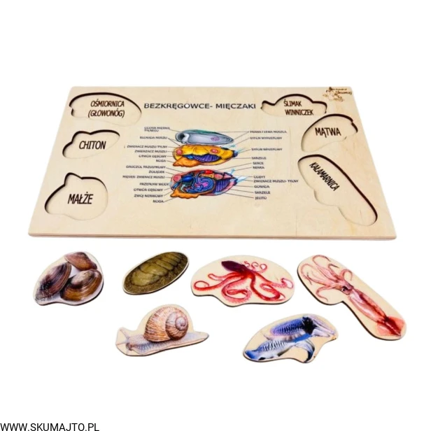 Projekt bez tytułu - 2023-01-12T210910.957.jpg