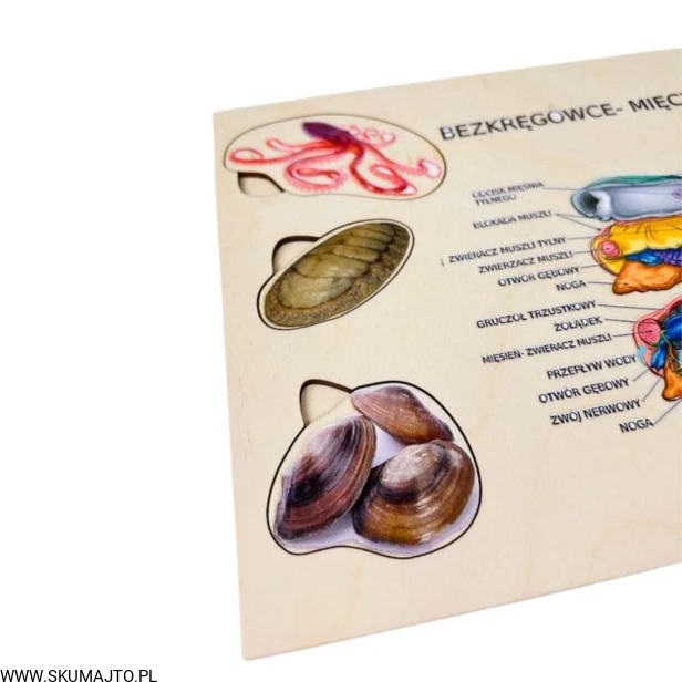 Projekt bez tytułu - 2023-01-12T210946.883.jpg