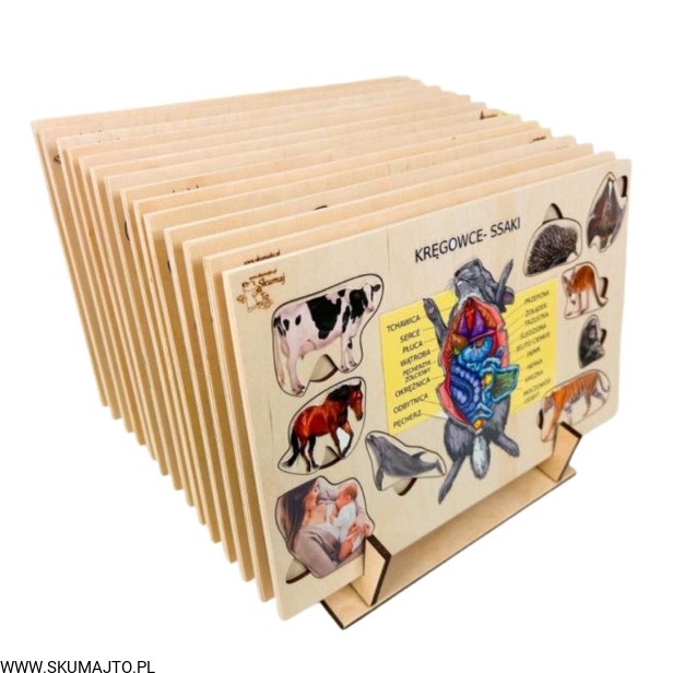 Projekt bez tytułu - 2023-01-12T210440.000.jpg