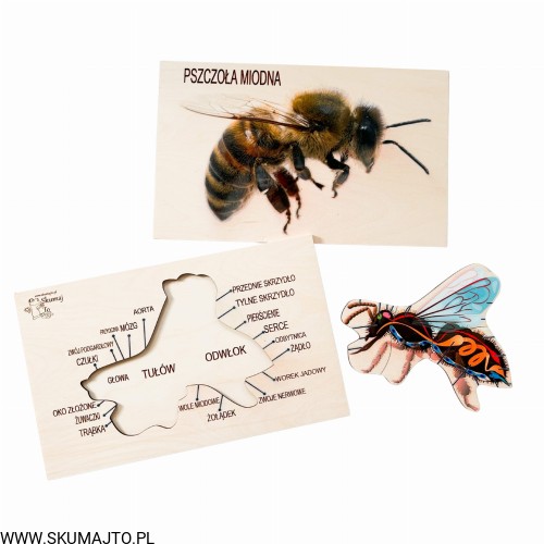 image_6483441 (1).JPG