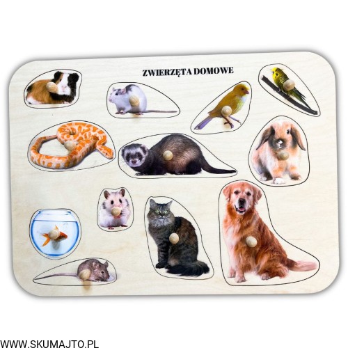 Projekt bez tytułu - 2023-03-03T115924.116.jpg