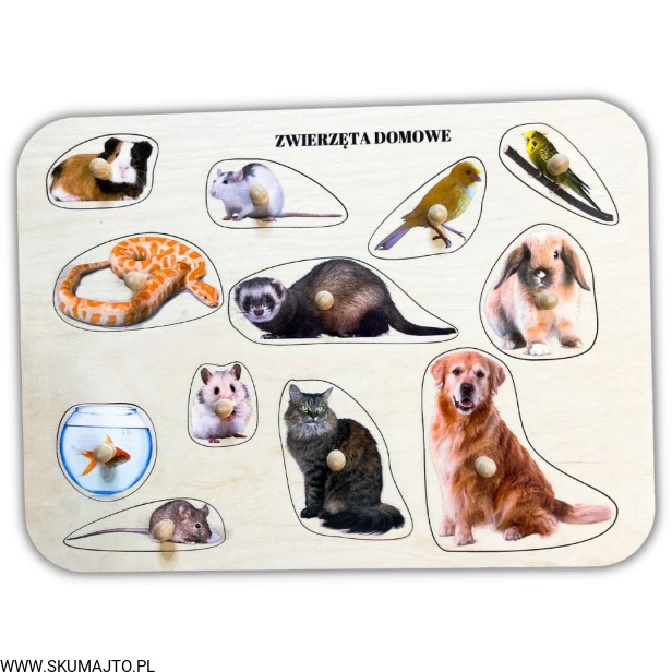 Projekt bez tytułu - 2023-03-03T115924.116.jpg