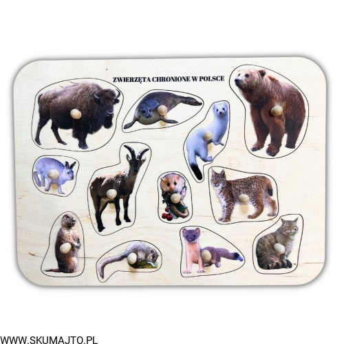 Projekt bez tytułu - 2023-03-03T120021.625.jpg