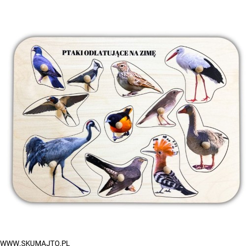 Projekt bez tytułu - 2023-03-03T120254.164.jpg