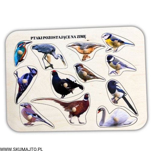 Projekt bez tytułu - 2023-03-03T120448.540.jpg