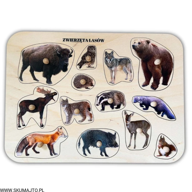 Projekt bez tytułu - 2023-03-03T134359.898.jpg