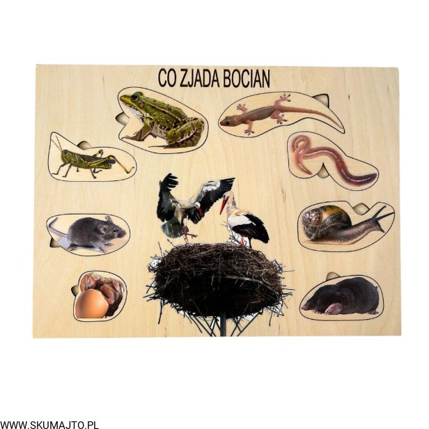 Projekt bez tytułu - 2023-03-10T155903.865.jpg