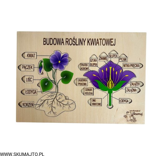 Projekt bez tytułu - 2023-03-10T161203.302.jpg