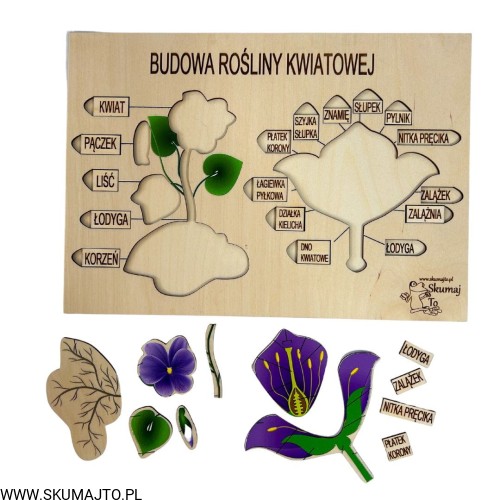 Projekt bez tytułu - 2023-03-10T161408.140.jpg