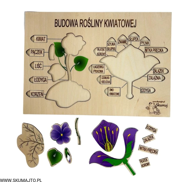 Projekt bez tytułu - 2023-03-10T161408.140.jpg