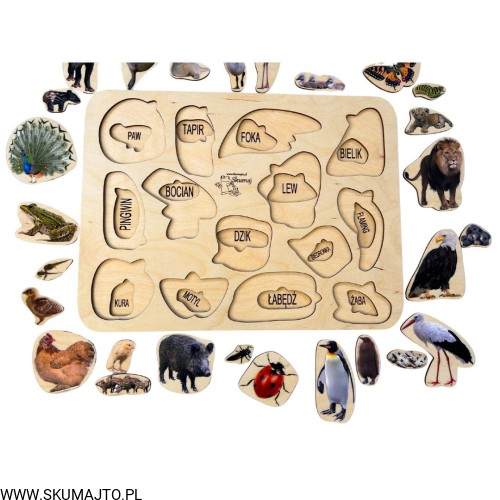 Projekt bez tytułu - 2023-03-10T155606.795.jpg