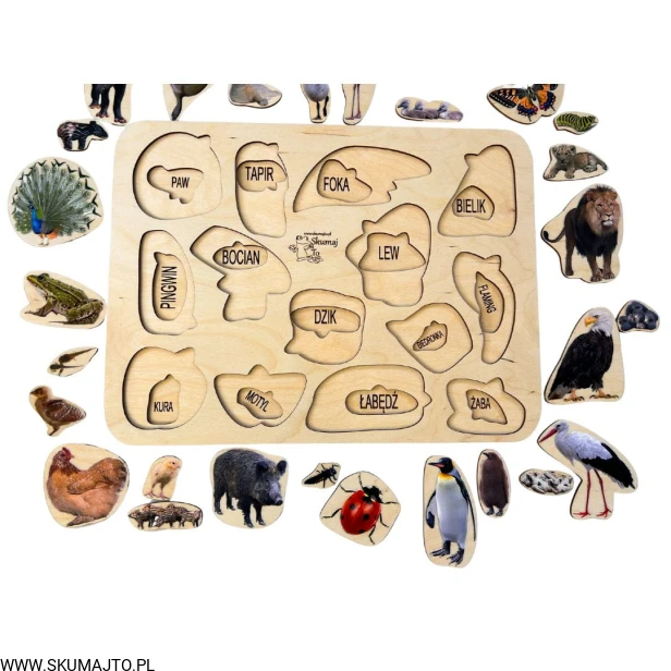 Projekt bez tytułu - 2023-03-10T155606.795.jpg