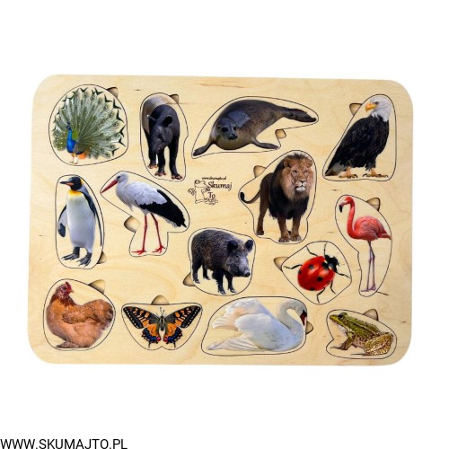 Projekt bez tytułu - 2023-03-10T155819.946.jpg