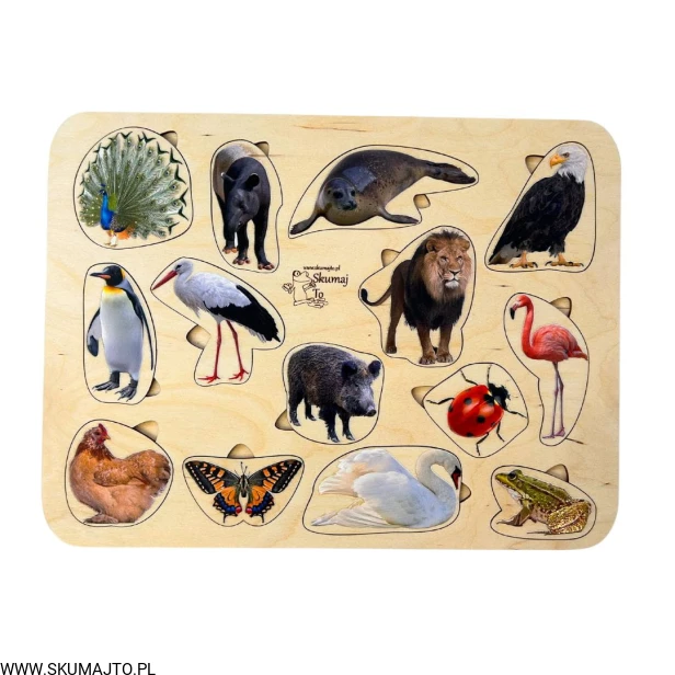 Projekt bez tytułu - 2023-03-10T155819.946.jpg