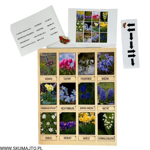 Projekt bez tytułu - 2023-03-10T161540.409.jpg